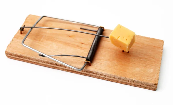 1,600+ Mouse Trap Cheese Stock Photos, Pictures & Royalty-Free