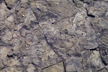 taş makronun bir parçası, doğal taş, arka plan, doku