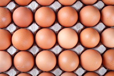 Kağıt tepside kırmızı yumurtalar, makro, yumuşak odak, üst görünüm