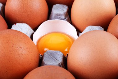 Kağıt tepside tavuk yumurtası, bir yumurta kırıldı.