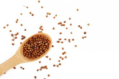 Beyaz arka planda ahşap kaşıkta kişniş, izole edilmiş, metnin için yer