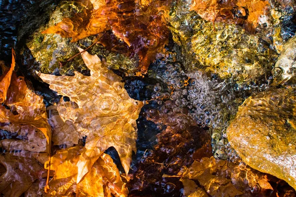 Foglie Autunno Galleggianti Rocce Fluviali Lisce — Foto Stock