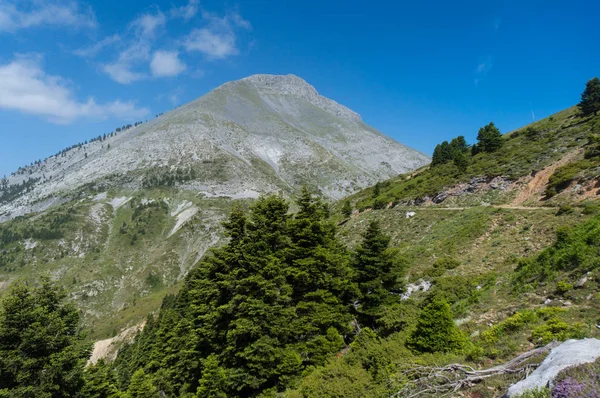 Görünüm Dirfi Dağı Euboea Yunanistan