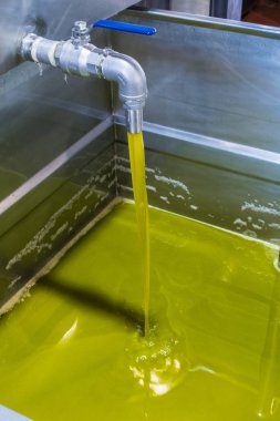 Zeytinyağı çıkarma. İlave virgine zeytinyağı bir musluk Yunanistan'da bir zeytinyağı basın fabrikasında çalışır