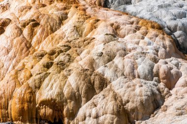 Mamut Kaplıcalar Traverten concretions Yellowstone Milli Parkı'nda