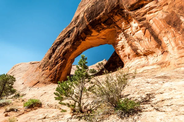 Kleine Pine Voorzijde Privé Arch Het Arches National Park — Stockfoto