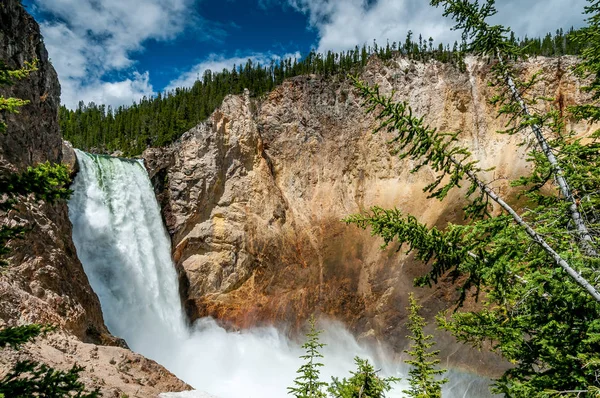View Lower Falls Waterfall Yellowstone Canyon Cliff — Stock Photo, Image