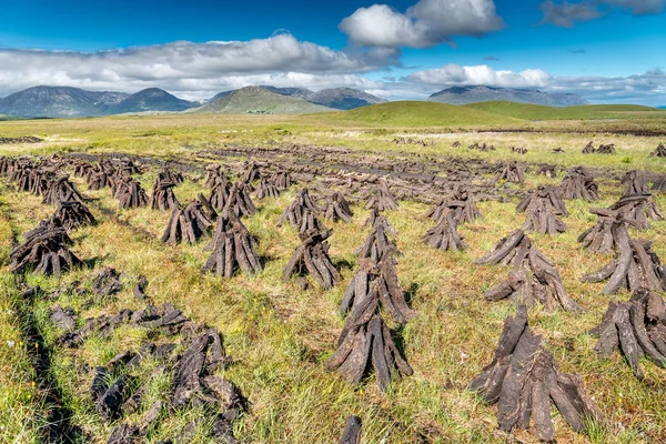 Campo de turba — Foto de Stock