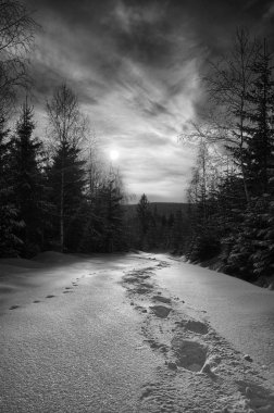 Harrachov Karkonose Milli Parkı'nda karda yürüyüş iz. Kış, Çek Cumhuriyeti 2013