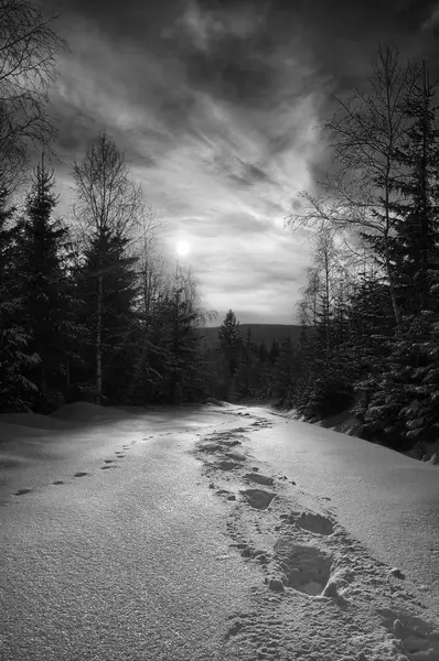 Harrachov Karkonose Milli Parkı'nda karda yürüyüş iz. Kış, Çek Cumhuriyeti 2013