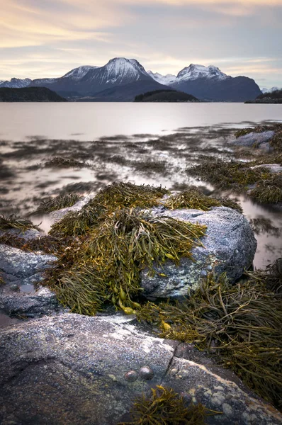 Plage Rocheuse Fabrikkvegen Vue Sur Hjorundfjorden Sula Island Norvège 2016 — Photo