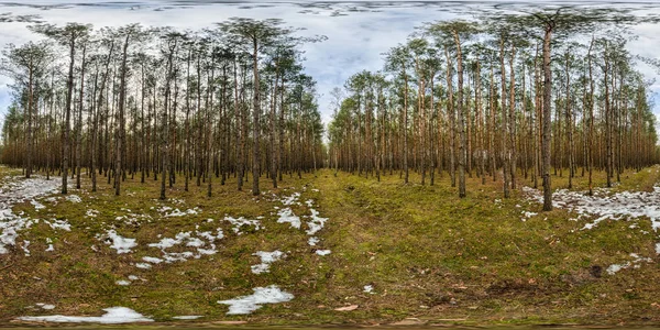 Ormanda yürüyüş deneme - panorama 360. Polonya 2013