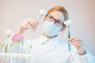 Doğal kozmetik çiçek özü, bitki ve yapraklardan yağ. Beyaz üniformalı biyoteknoloji uzmanı elinde bayraklar tutuyor.