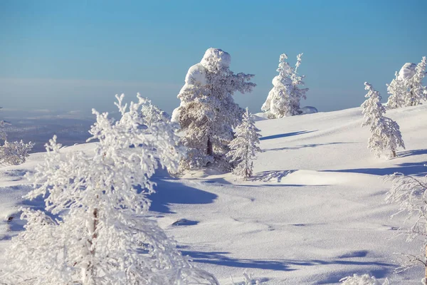 Schöne Winterlandschaft Neuschnee, strahlend blauer Himmel mit Wolken und Sonne. seltene Bäume im Hintergrund der Berge — Stockfoto