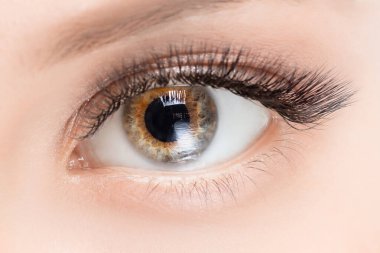 Kirpik uzatma prosedürü. Güzel kadın gözleri ve uzun kirpikleri yakın çekim makyajı.