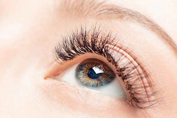 Wimpers verlengt procedure in spa schoonheidssalon. Macro Mooi oog met make-up — Stockfoto