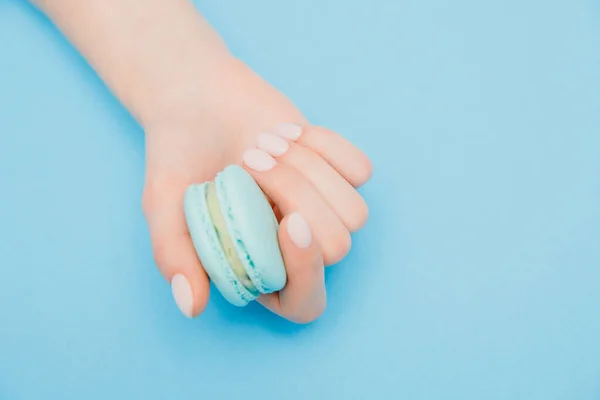 Menina segura as mãos biscoitos de macaron. Elegante manicure feminina na moda em fundo azul, vista superior — Fotografia de Stock