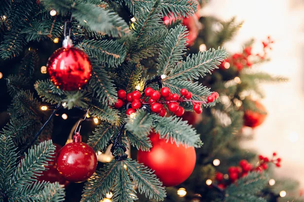 Χριστουγεννιάτικο κόκκινο πεύκο δέντρο με φόντο bokeh φως, σημάδι Πρωτοχρονιάς. — Φωτογραφία Αρχείου