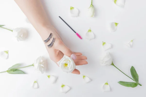 Falsche Augen Wimpern auf der Hand Frau Master Verlängerung weiße Blumen auf dem Hintergrund. Konzept Schönheitsmode — Stockfoto