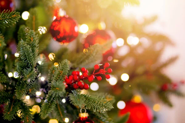 Kerst rode dennenboom met achtergrond bokeh licht, zonlicht — Stockfoto