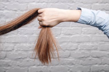 Güçlü, sağlıklı saçlar. Kadın eli, tuğla arka planda at kuyruğu tutuyor.