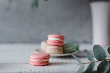 Gri nötr çatı arkaplanı üzerine Macaron, farklı renkte tabakta dur.