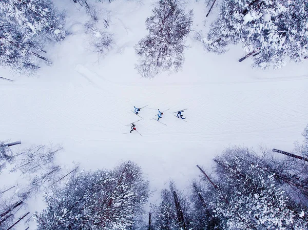 滑雪者在雪林中越野滑雪。冬季竞赛理念。鸟瞰图 — 图库照片