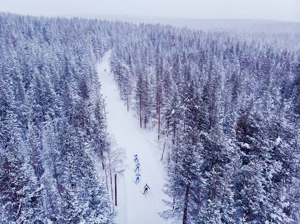 Skilanglauf im verschneiten Wald. Winterwettkampfkonzept. Luftaufnahme von oben — Stockfoto