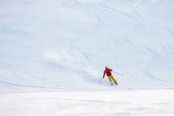 Winter sport, sharp braking skier, fresh powder snow. — ストック写真