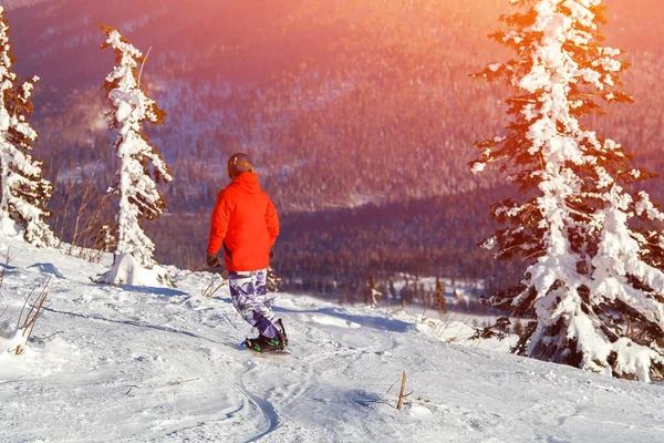 Snowboarder mit Snowboard fährt im Waldtrampolin durch Schnee. — Stockfoto