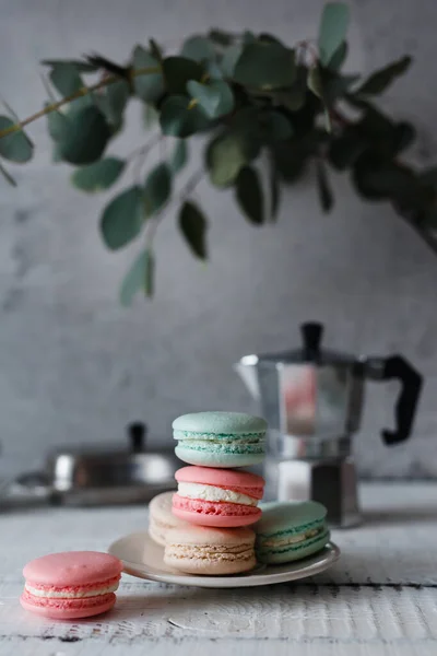 Macaron on gray neutral loft background, stand on plate of different colors. — Stock Photo, Image