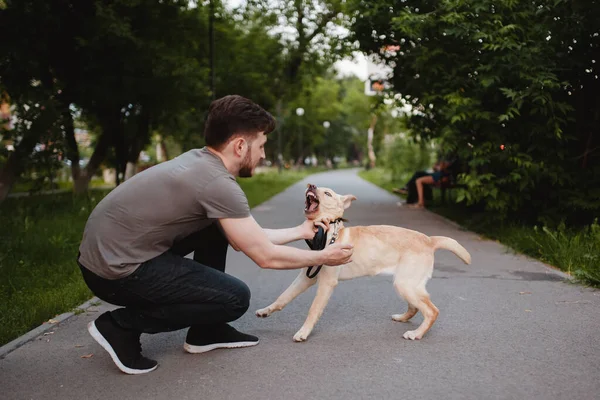 Tollwut ist Hund. Mann versucht, mit Haustier zurechtzukommen, das seine Zähne und das Böse angreift. — Stockfoto