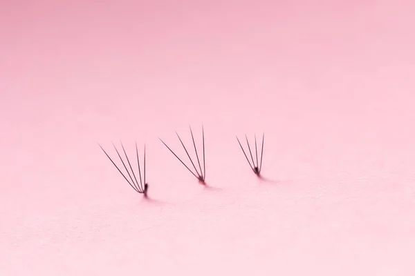 Bunches of fake lashes on pink background. Eyelash extension procedure