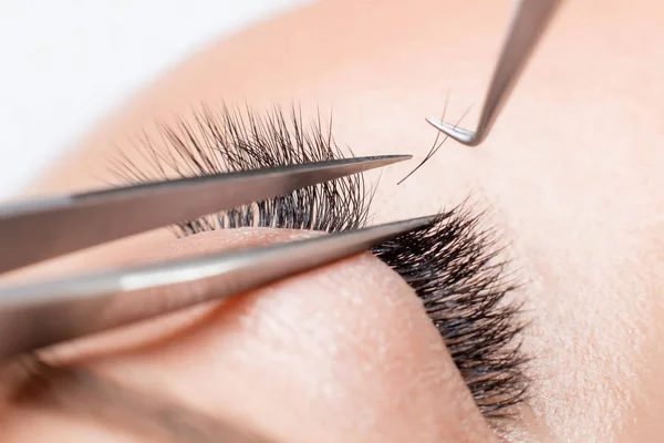 Eyelash extension procedure. Master tweezers sets fake lashes on beautiful woman