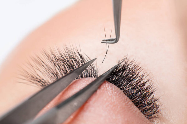 Eyelash extension procedure. Master tweezers fake long lashes beautiful female eyes