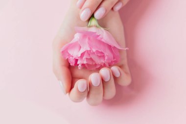 Jel cilası sürmüş kız tırnaklarında katı manikür, pembe arka planda çiçek tutan eller. Doğal organik cilt bakımı kavramı