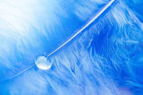 Прозрачная капля прозрачной воды после дождя на голубое перо птицы, бирюзового цвета воздуха. Понятие чистоты и хрупкости природы — стоковое фото