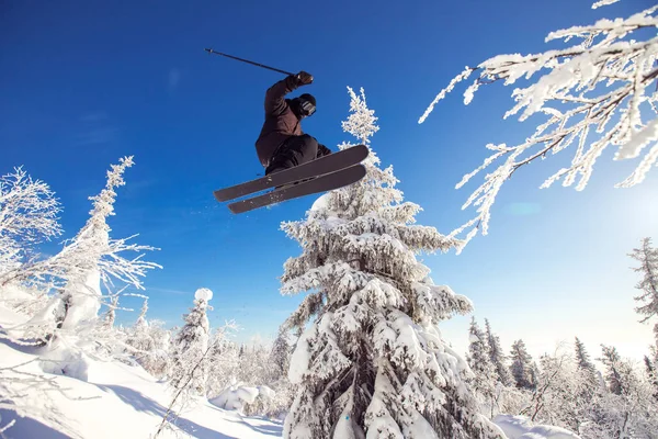 Güneşli bir günde tepeden aşağıya kayak yapan kayakçı, taze kar arabasıyla atlıyor. Aşırı yüksek hız, soğuk toz dağılır. — Stok fotoğraf