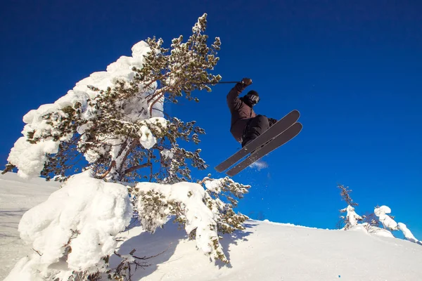 Güneşli bir günde tepeden aşağıya kayak yapan kayakçı, taze kar arabasıyla atlıyor. Aşırı yüksek hız, soğuk toz dağılır. — Stok fotoğraf