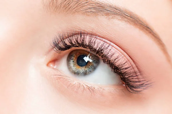 Macro donna occhio eterocromia con belle tonalità marrone rosso smokey trucco moda. Concetto procedura di estensioni delle ciglia — Foto Stock