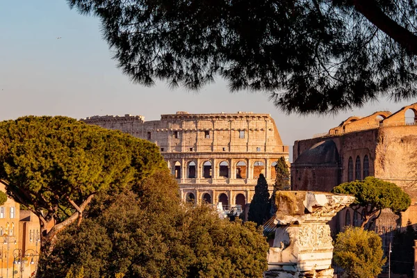 Panorama Rome Italy, sunset city Colosseum ruins Roman Forum from square of Venice