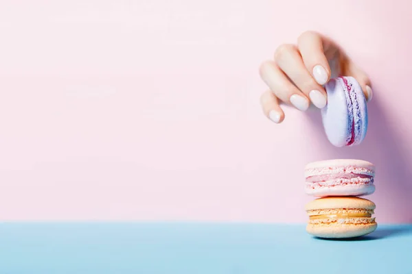 Menina segura as mãos biscoitos de macaron. Elegante manicure feminina na moda em fundo rosa, espaço de cópia — Fotografia de Stock