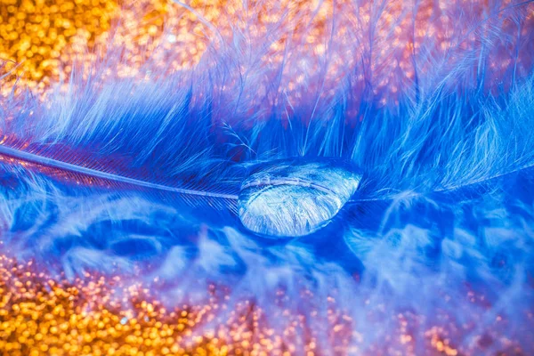 Gota transparente de água da chuva em pássaros raros, azul, luz do sol resplandecente. Concept dreamy fundo limpo de natureza fragilidade — Fotografia de Stock