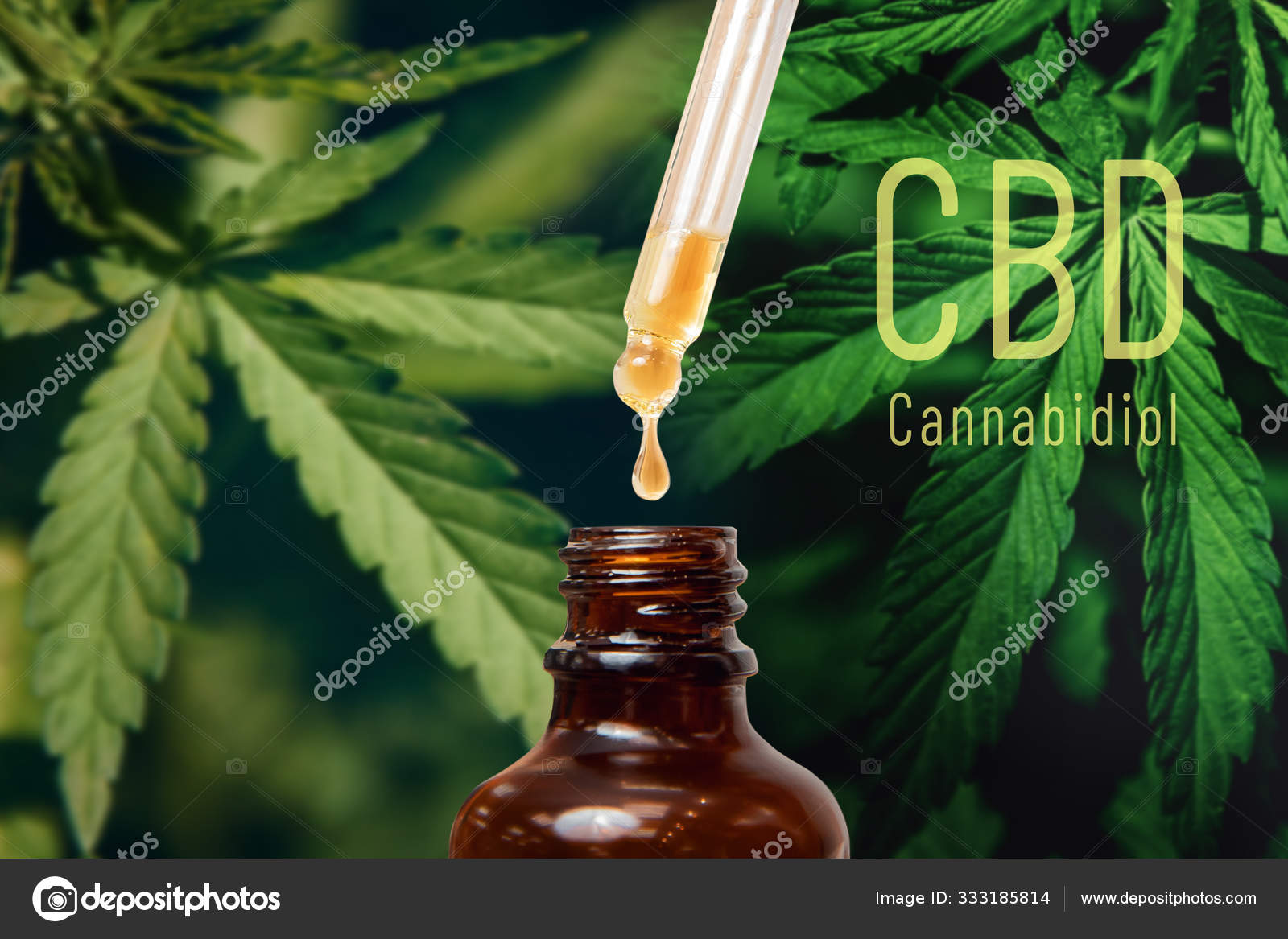 Homemade CBD-Rich Herbal Oil :: For Topical Use Only - Frugally Sustainable