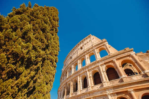 Colosseum eller Colosseum antika ruiner bakgrund blå himmel Rom, Italien, vy underifrån, stenvalv och solstrålar — Stockfoto