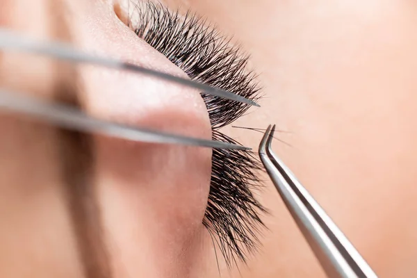 Eyelash extension procedure. Master tweezers sets fake lashes on beautiful woman