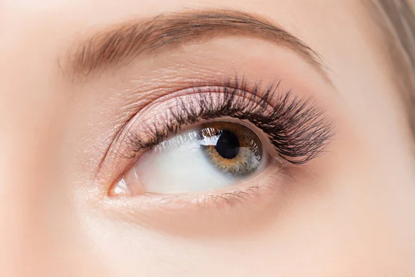 Eyelash extension procedure. Beautiful female eyes with long lashes makeup closeup — Stock Photo, Image