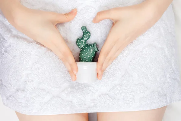 Depilation bikini zone. Woman holding green smooth cactus in hand, white color top view. Gynecology concept — Stock Photo, Image