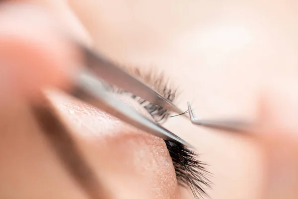 Procedimento de extensão das pestanas. Mestre pinças falsos longos cílios belos olhos femininos — Fotografia de Stock