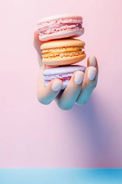 Moda manikürlü güzel kız pembe ve mavi arka planda renkli badem kurabiyesi yiyor.